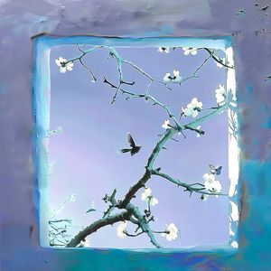 老婆去农场给马当媳妇
