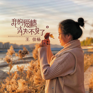 老婆去农场给马当媳妇
