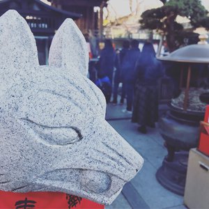 老婆去农场给马当媳妇
