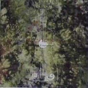 老婆去农场给马当媳妇
